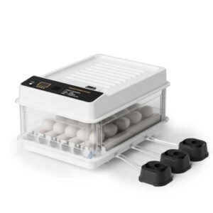 Fudajo Incubator for 24 Eggs Fully Automatic