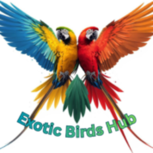 cropped-cropped-cropped-Exotic-Birds-Hub-7-1